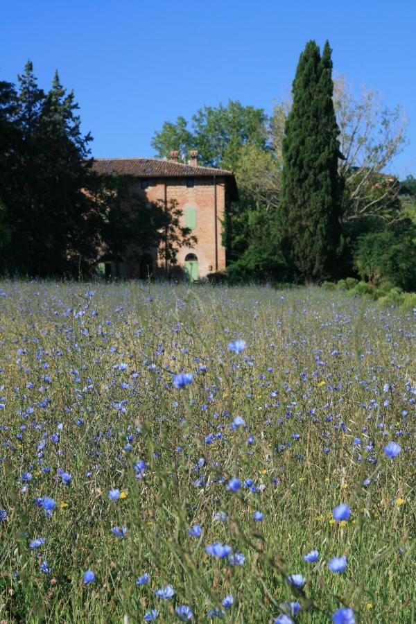 Galluzzo Ancient Country Villa カザレッキオ・ディ・レーノ エクステリア 写真